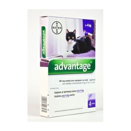 Advantage 80 10% 4x0,8ml pro kočky nad 4kg